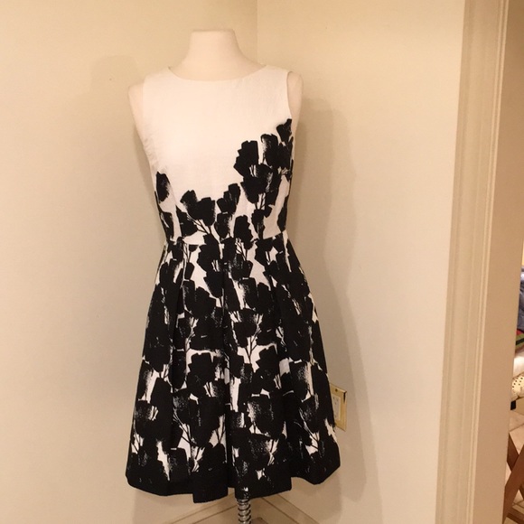 Dress - Picture 2 of 4